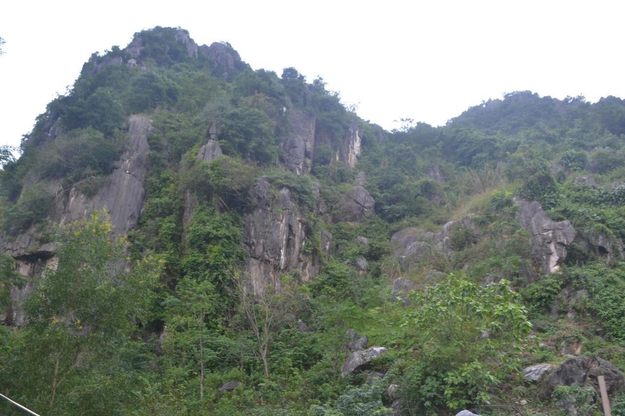 Phong Nha Homestay Exterior photo