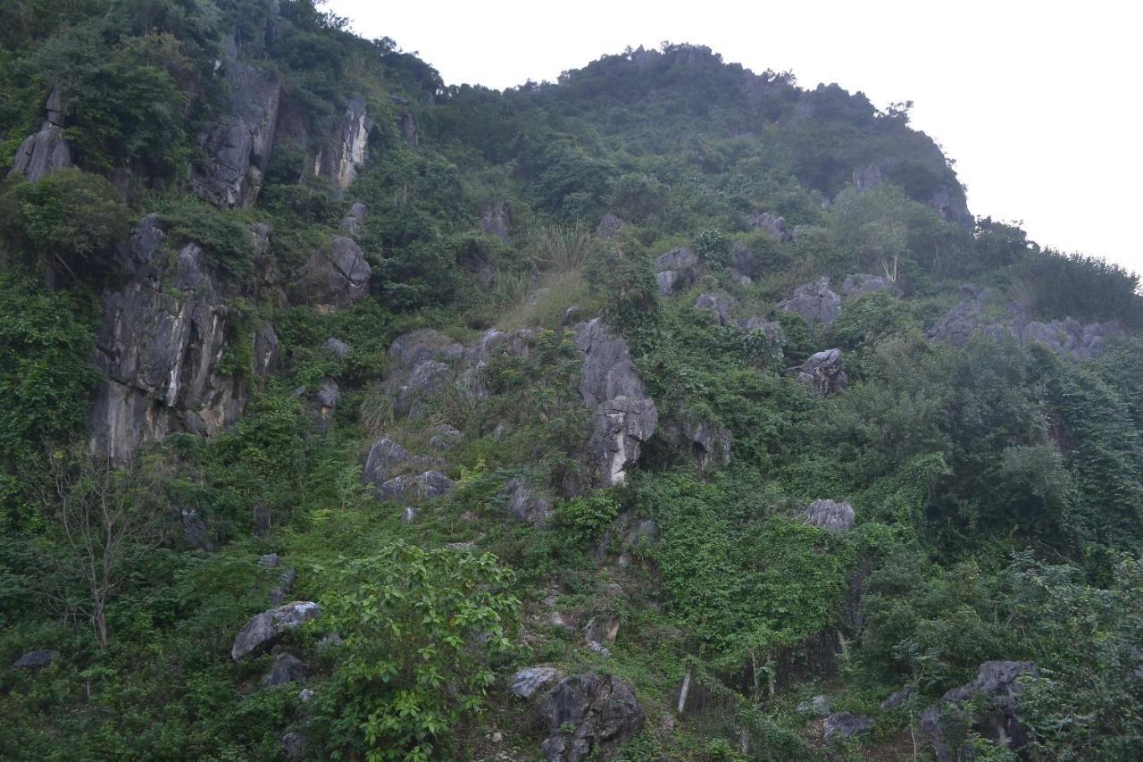 Phong Nha Homestay Exterior photo